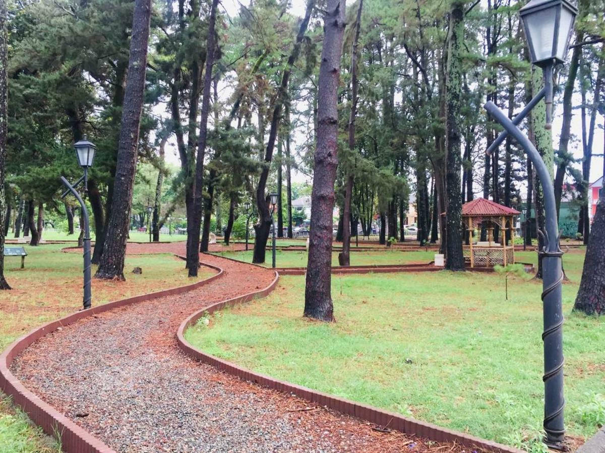 Magnolia Hotel Agmashenebeli Kobuleti Eksteriør bilde